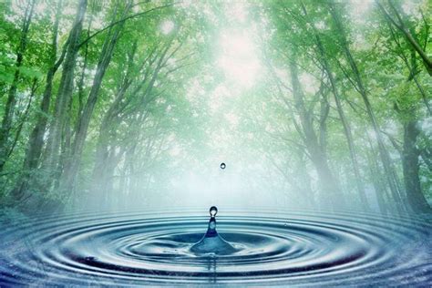 Meditative Water Dreams: Embrace Relaxation and Renewal