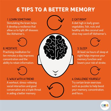 Memory Enhancement Techniques for Recalling and Documenting Dreams