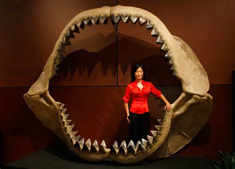 Merging Myth and Reality: The Intriguing Saga of the Terrifying Shark Humanoid