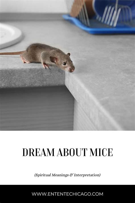 Mice Dreams and Their Relationship to Material Prosperity