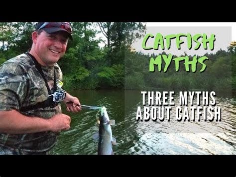 Myth or Reality? Investigating Catfish Behavior and Intelligence