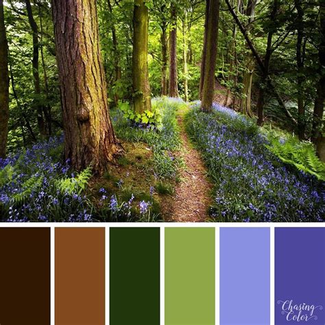 Nature's Palette: Exploring the Colors of Lively Forests