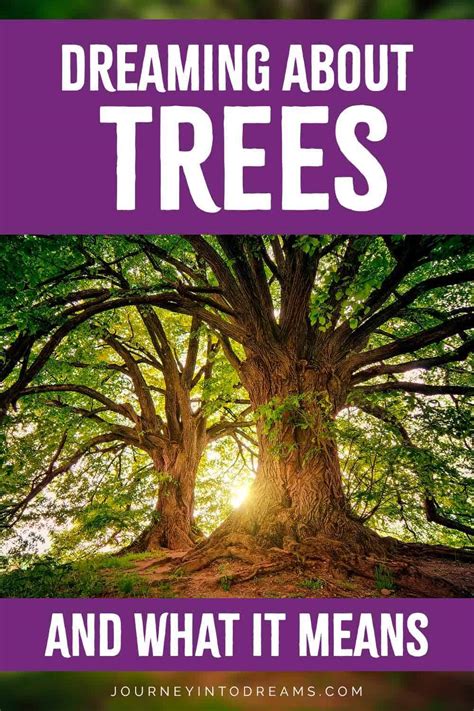 Navigating Life's Challenges: Applying Tree Dream Interpretations