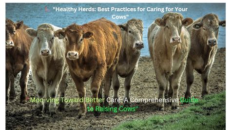 Nurturing Health and Happiness: Providing Proper Care for Your Beloved Bovine