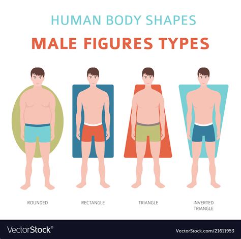 Overall Physique and Body Type
