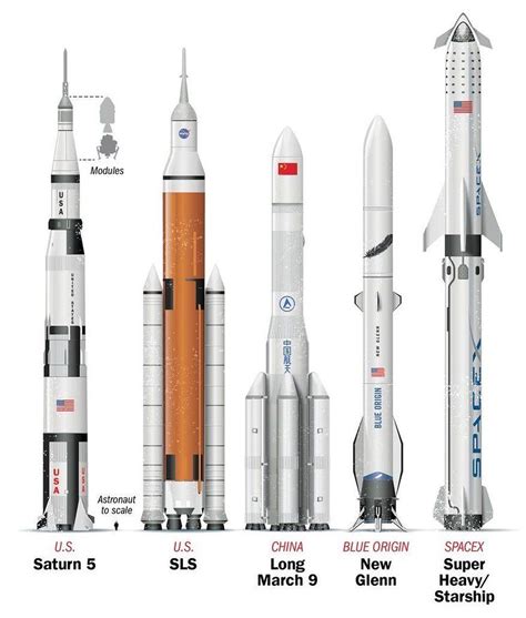 PR Rocket's Height: How tall is PR Rocket?