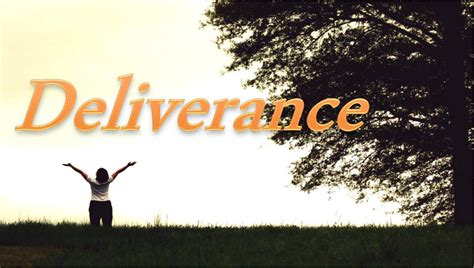 Patterns and Aspects in the Reveries of Deliverance