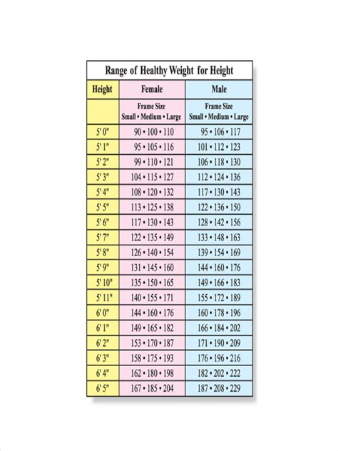 Personal Information: Age, Height, and Body Measurements