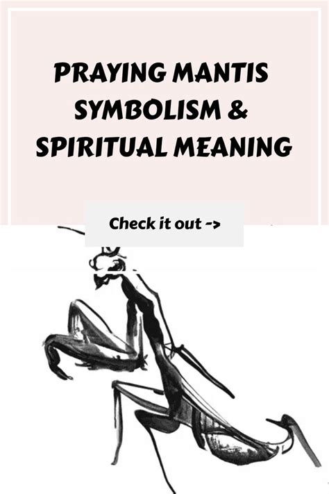 Personal Reflection: Significance of the Praying Mantis Symbol for Individuals