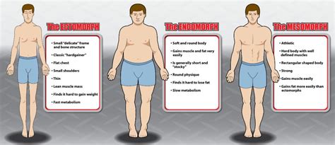 Physical Appearance: Height, Weight, and Figure