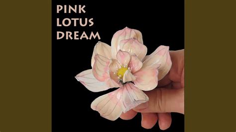 Pink Lotus Dreams: Reflections of Personal Growth and Metamorphosis