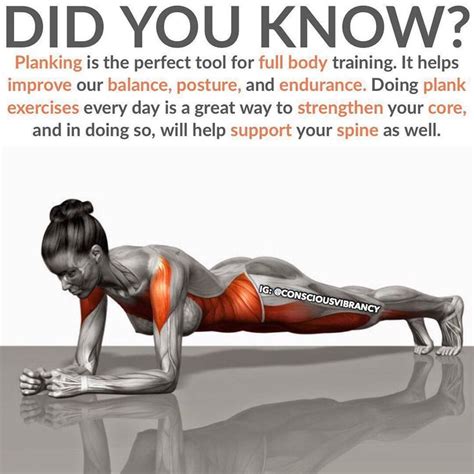 Plank: The Ultimate Exercise for Strengthening Your Core
