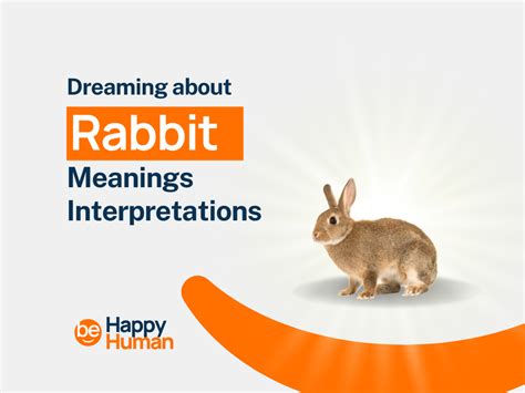Possible Meanings of Dreaming about an Injured Rabbit