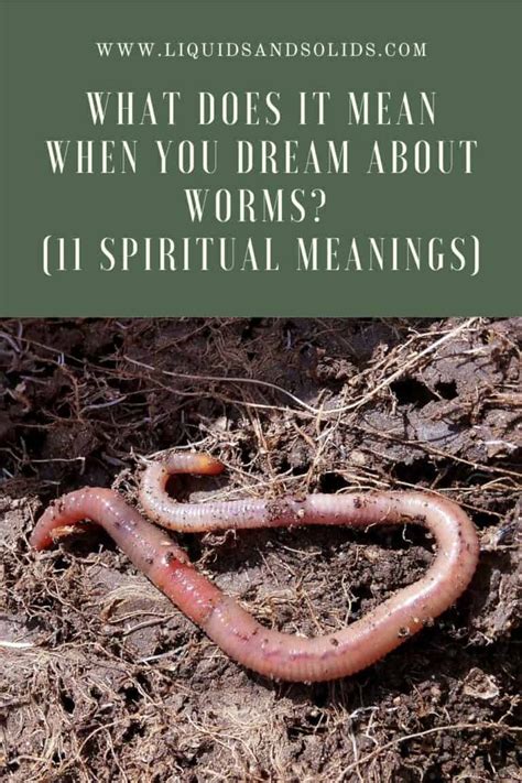 Possible Psychological Significance of Worms in Dream Imagery