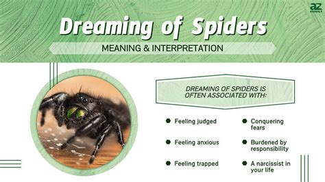 Practical Tips for Deciphering and Handling Dreams Involving Hirsute Arachnids