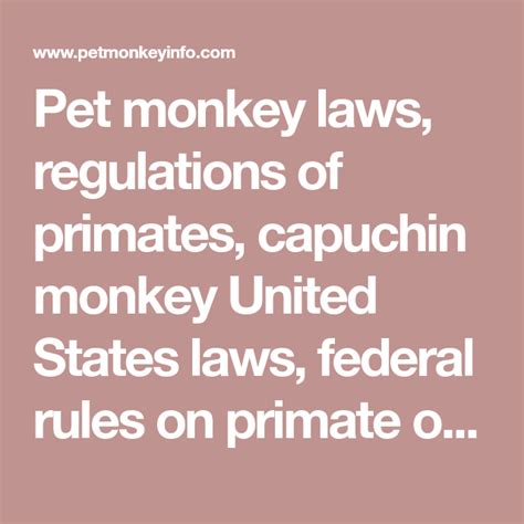 Preparing for the Financial Responsibilities of Primate Ownership