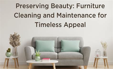 Preserving the Beauty and Durability of Your Furniture with Routine Cleaning