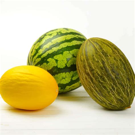 Preserving the Juiciness: How to Store Tempting Melons to Maintain Their Freshness