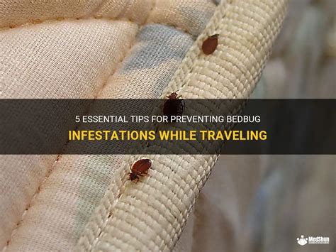 Preventing Bedbug Infestations While Traveling: Protecting More Than Just Your Residence