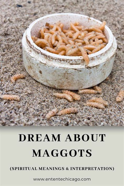 Psychological Analysis of Dreams Involving Maggots Infesting the Eye