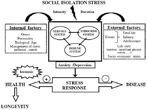 Psychological Factors and Stress