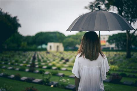 Psychological Impact: How Dreams of Departed Companions Can Facilitate the Mourning Process
