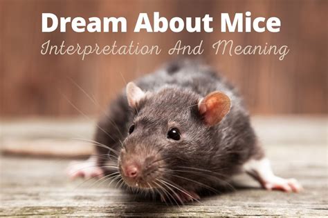 Psychological Impact of Mouse Dreams on Expectant Mothers