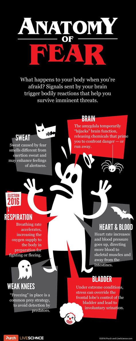 Psychological Interpretation: Dissecting the Fear