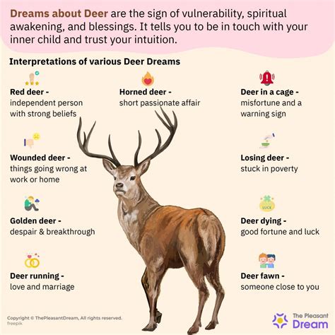 Psychological Interpretation of Dreams About Deer Experiencing Hemorrhaging