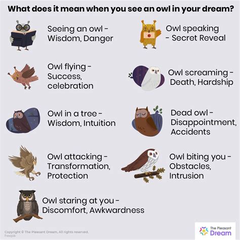 Psychological Interpretations of Lucid Owl Fatality in Dreams