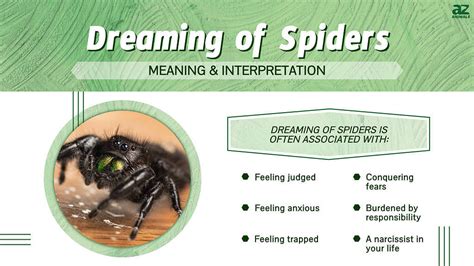 Psychological Perspectives on Dreams Involving Spider Bites