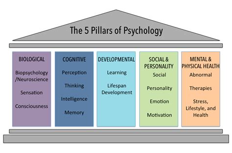 Psychological Theories: Revealing the Underlying Factors