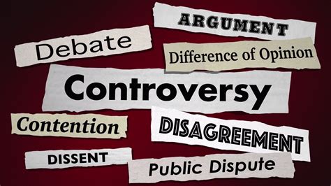 Public Image and Controversies