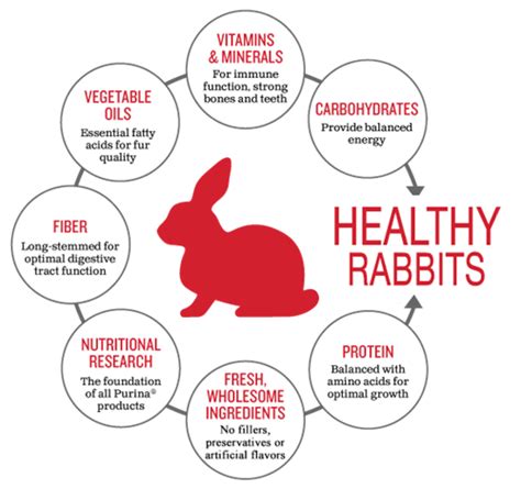 Rabbit Meat as a Healthy and Nutritious Alternative