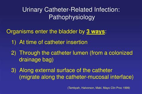 Recognizing the underlying emotions in dreams related to urinary tract infections