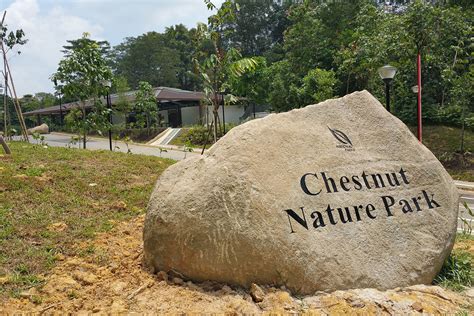 Recreation and Nature: Tranquil Parks and Outdoor Activities on Chestnut Avenue