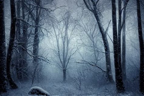 Revealing the Eerie Beauty: Dreams of Falling Snowflakes