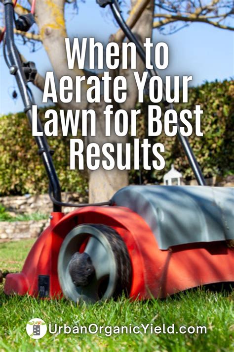 Revive Your Yard: An Essential Guide to Aerating Your Lawn