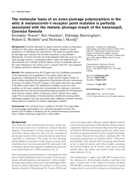 Scientific Explanations: Deciphering the Psychological and Neurological Basis of Avian Plumage Reveries