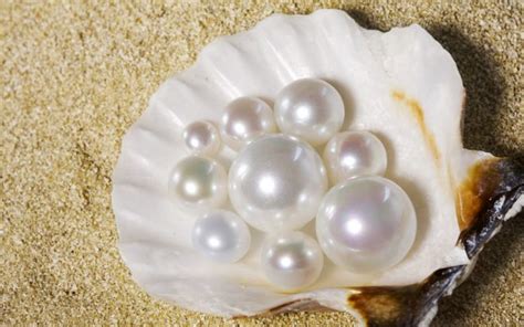 Searching for Pearls: Traditional and Modern Techniques