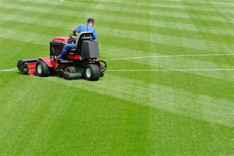 Selecting the Ideal Turf: Ensuring Optimal Performance and Safety