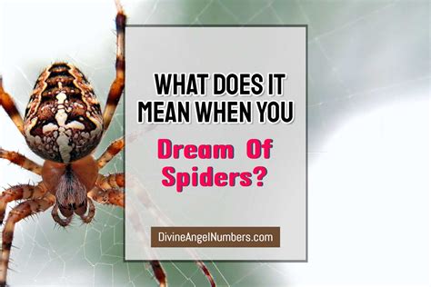 Spider Dreams: Indicators of Hidden Fears and Desires