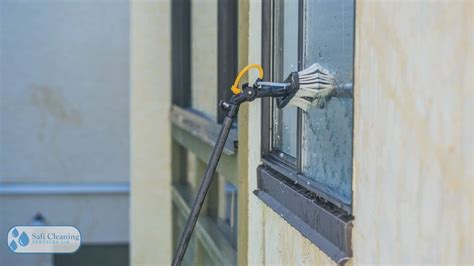 Step-by-Step Guide: Mastering the Art of Streak-Free Window Cleaning