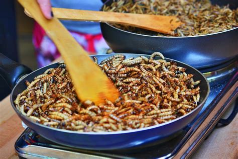 Steps to Take in Case of Discovering an Insect in Your Meal