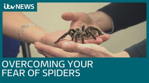 Strategies for Overcoming Fear of Spiders: Techniques for Gaining Control