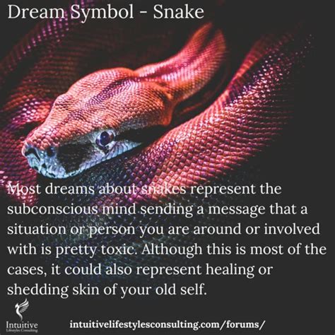 Symbolic Interpretations: Snakes in the Realm of Dreams