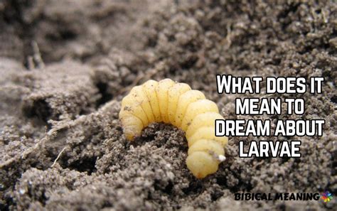 Symbolism and Interpretation of Dreaming About Pale Larvae