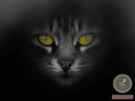 Symbolism of Midnight Feline Visitors in Dreamscapes