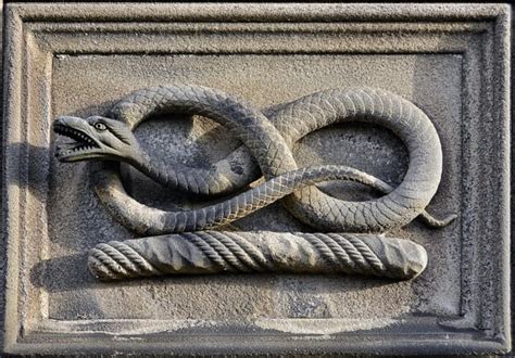 Symbolism of Serpents in Dream Imagery