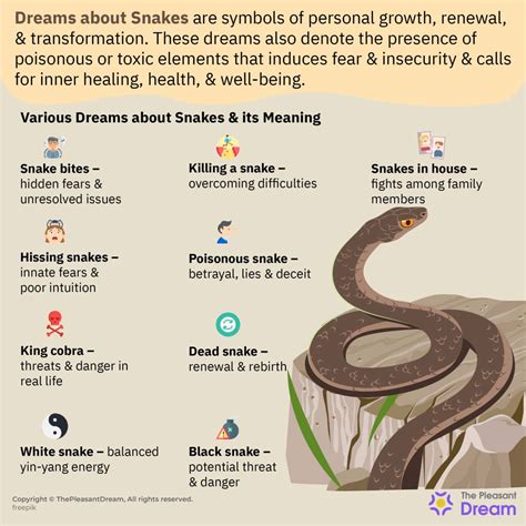 Symbolism of Snakes in Dreams: Unveiling the Hidden Meanings